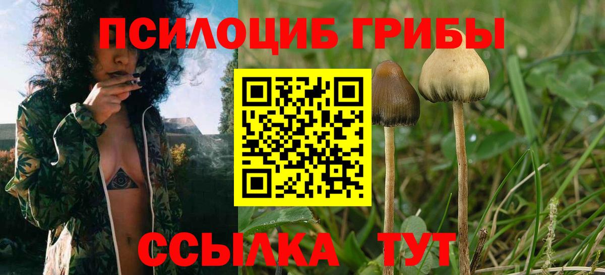 Псилоцибиновые грибы мухоморы Барнаул