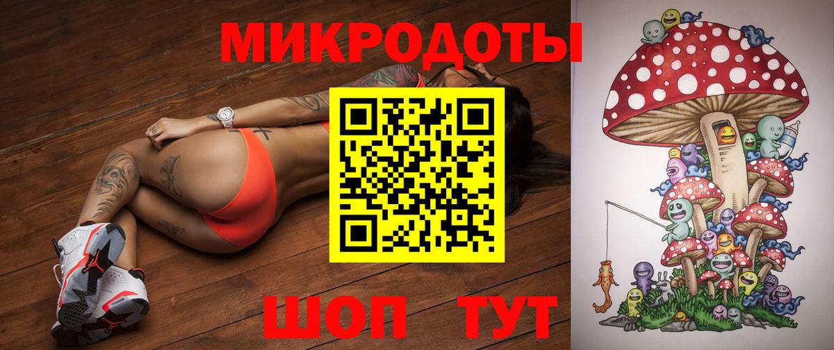 как найти   Вход с VPN  Барнаул  Псилоцибиновые грибы Psilocybe 